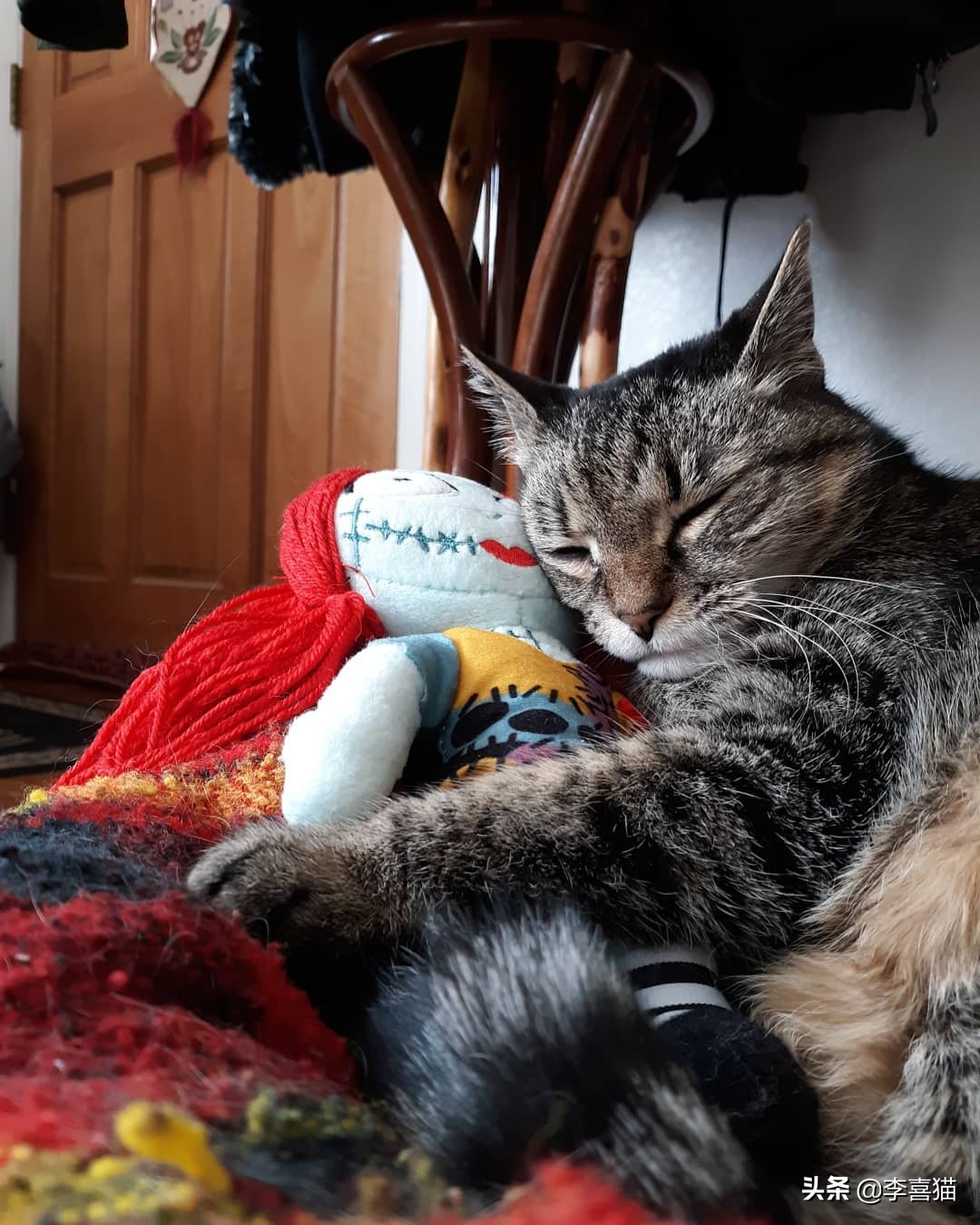 猫咪最喜欢的8类玩具 (铲屎官必备猫玩具大全)