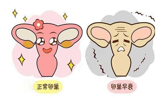 女人器官衰老情况,女性身体退化时间表