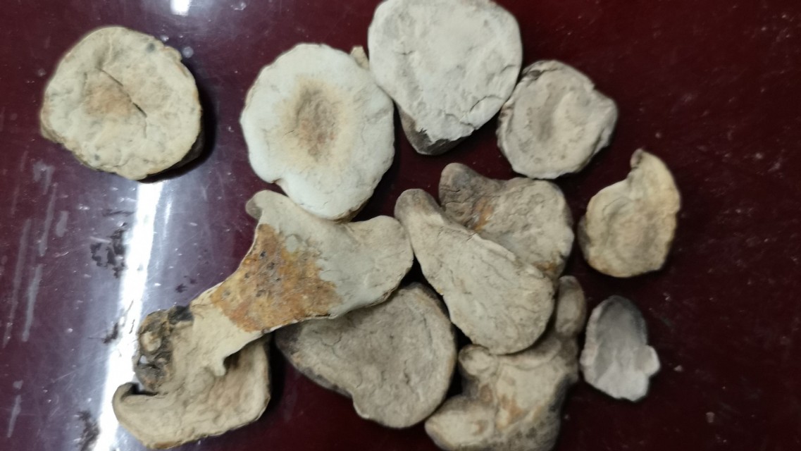 火神派用附子多少克,火神派经方第一方