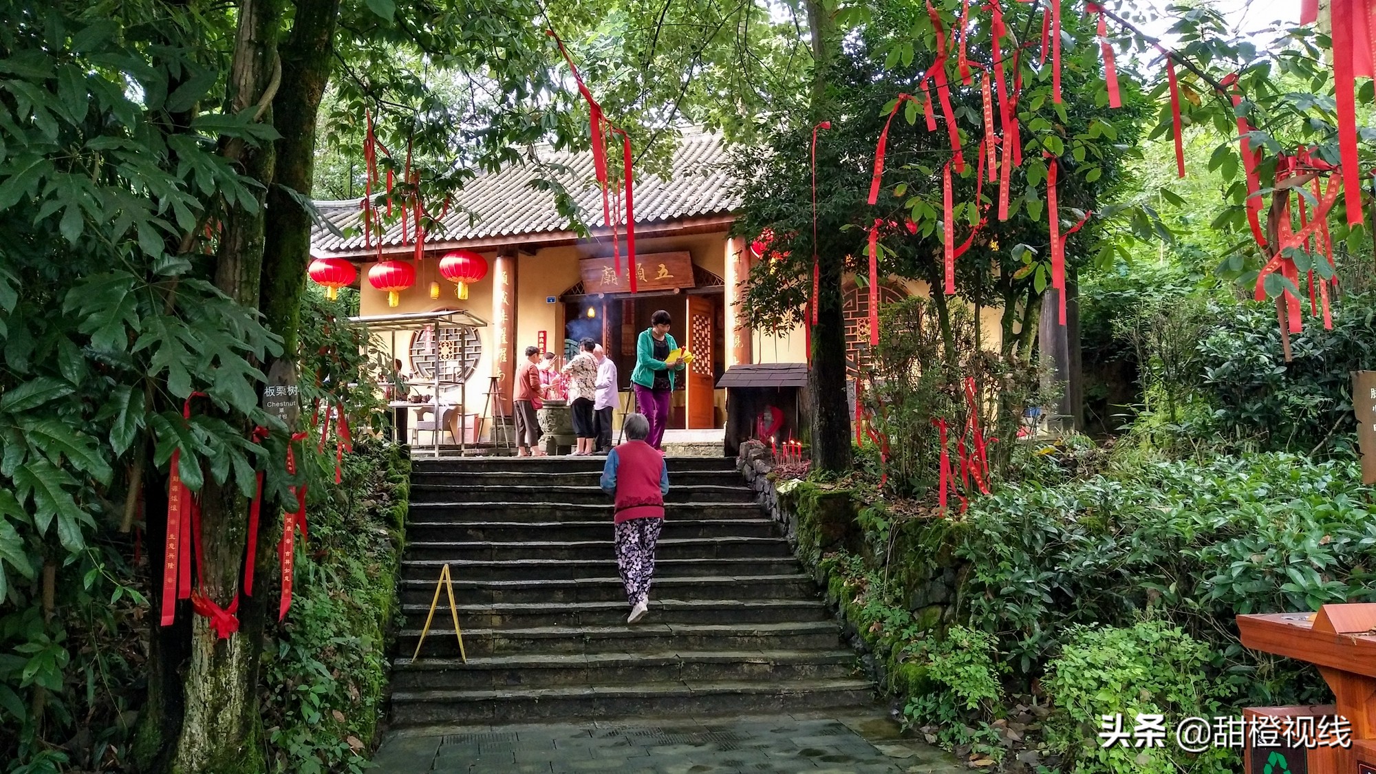 洪雅七里坪温泉小镇,洪雅县七里坪度假区管委会