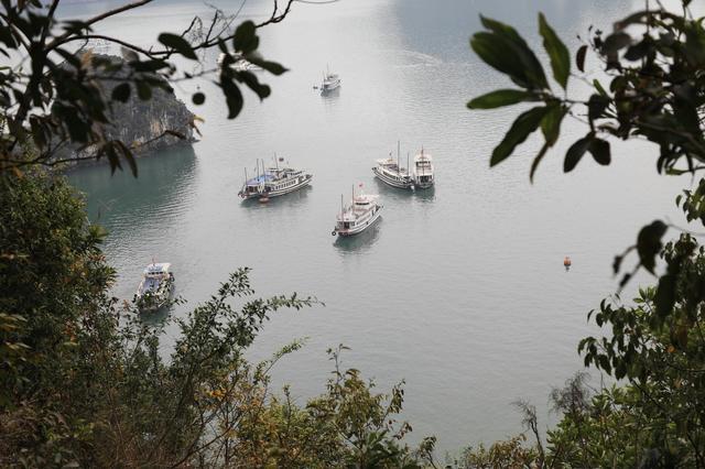 这里虽然风景如画人们生活的却很凄惨没日没夜的追着大船讨生活