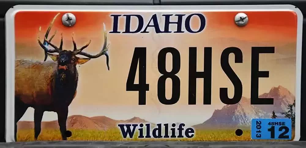 美国各省份的车牌,美国各大州车牌