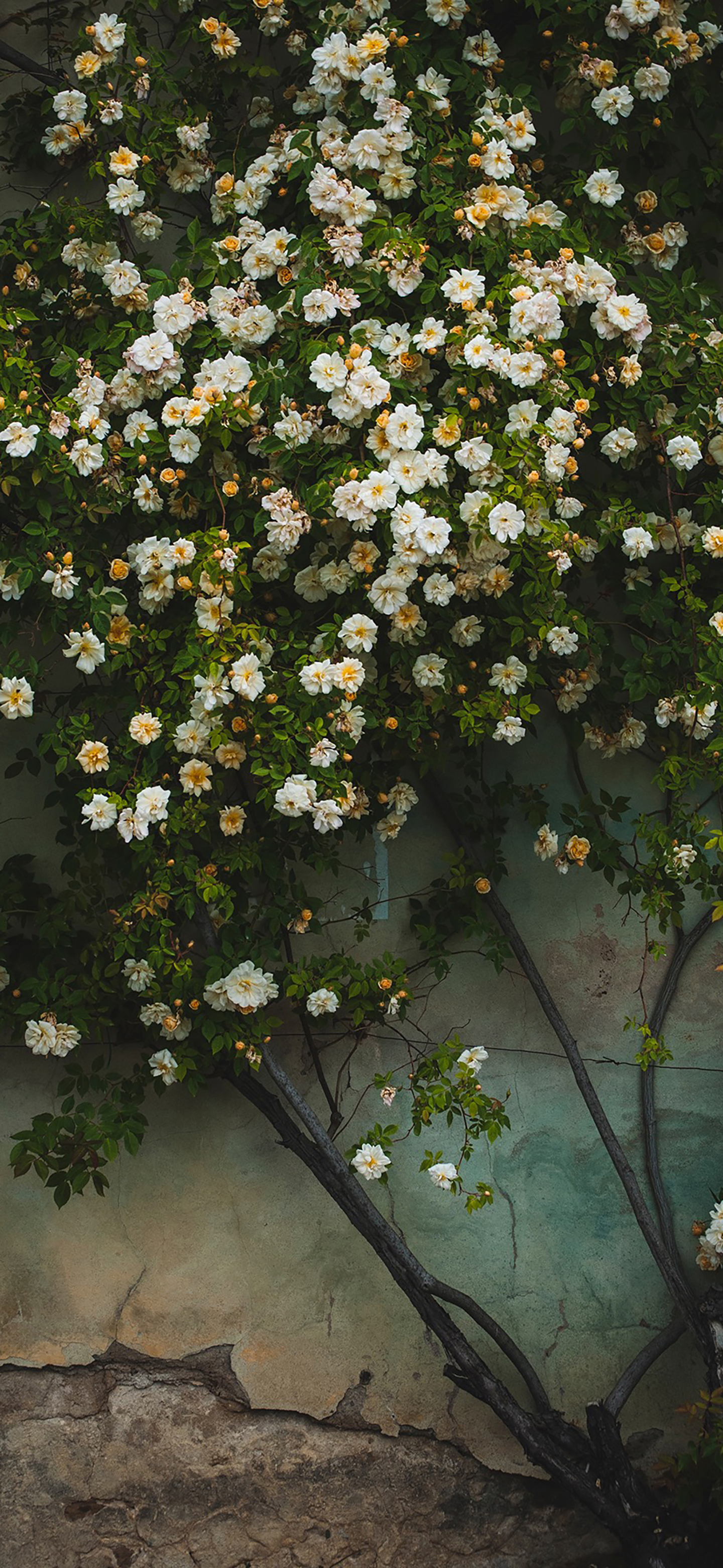 孤独失落伤感风景的高清壁纸,时光浓淡相宜的壁纸