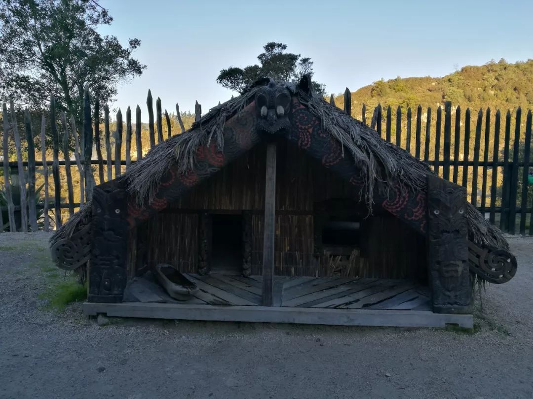 难忘的新西兰之行,在新西兰难忘的日子