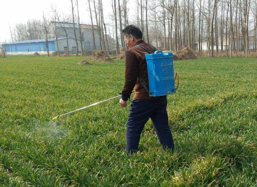 使用除草剂的注意事项,水稻除草剂使用方法及注意事项