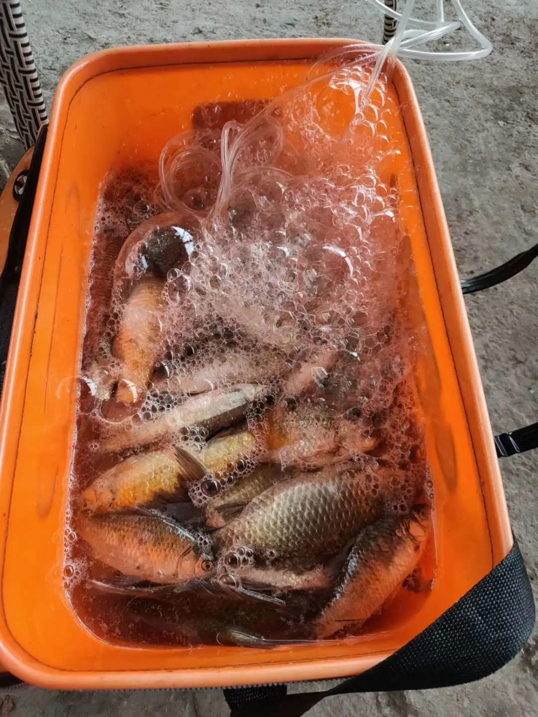 黑龙滩可以用海竿钓吗,黑龙滩的鱼好不好钓