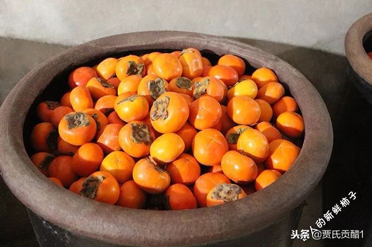 贾氏贡醋天然养生醋,贾氏贡醋什么时候喝