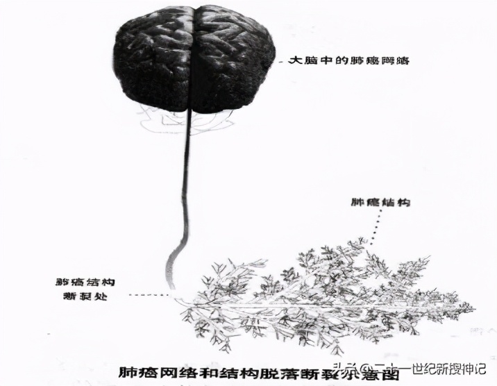 人体未解之谜第六感,人体七大未解之谜