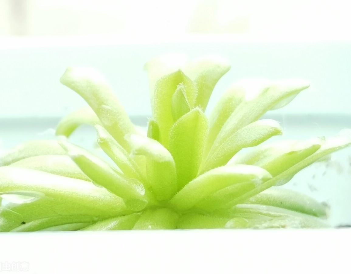 如何放下对钱的执念,如何对待金钱最好的态度