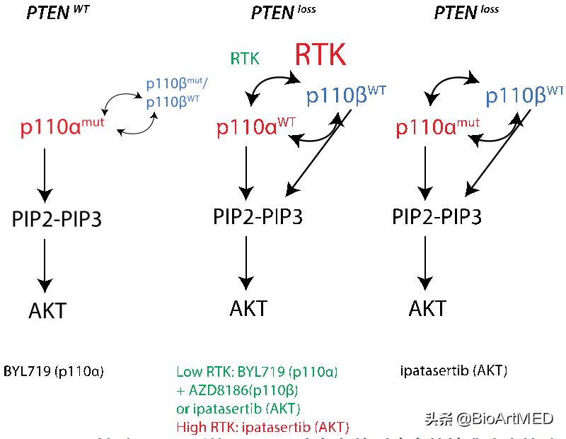 治疗前列腺癌症的最佳选择,局限性中危前列腺癌的治疗方法
