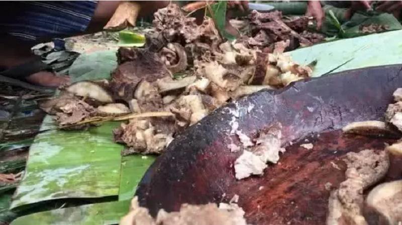 越南吃杀猪菜,越南杀猪饭