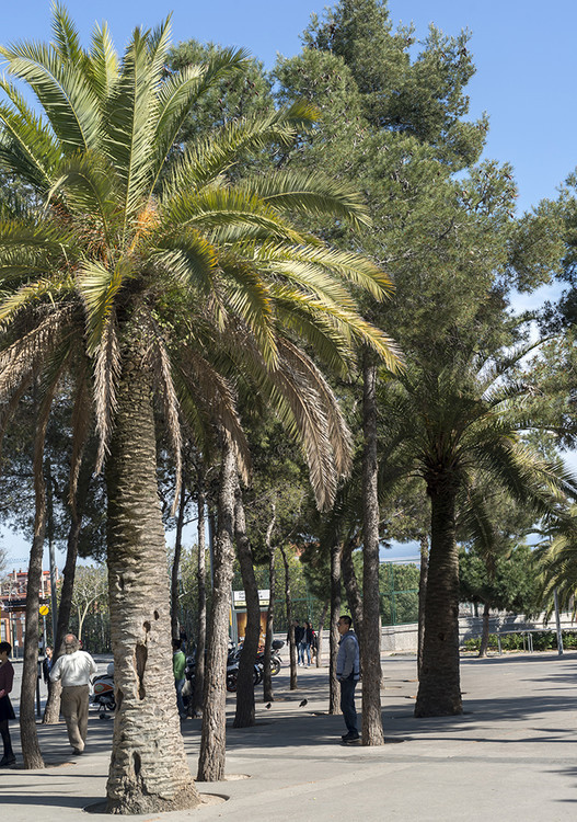 探秘西班牙初识巴塞罗那,西班牙巴塞罗那之行