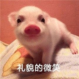 各大牌新年限量款,大牌猪年限定单品图片