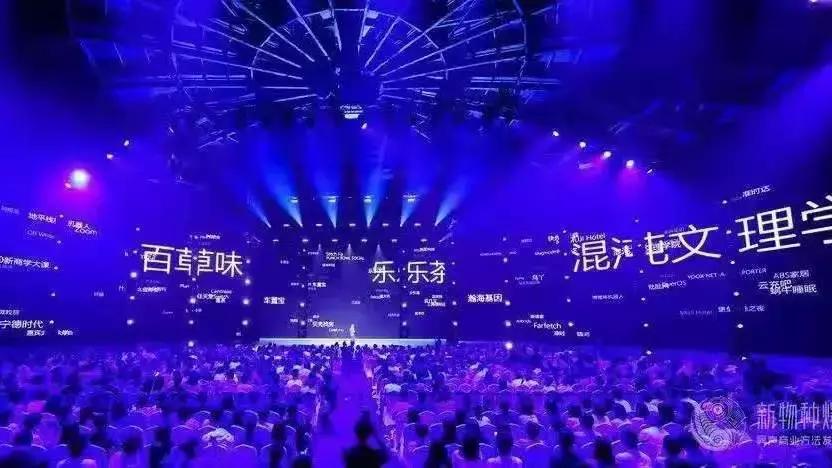 吴声商业新物种,吴声谈新物种爆发