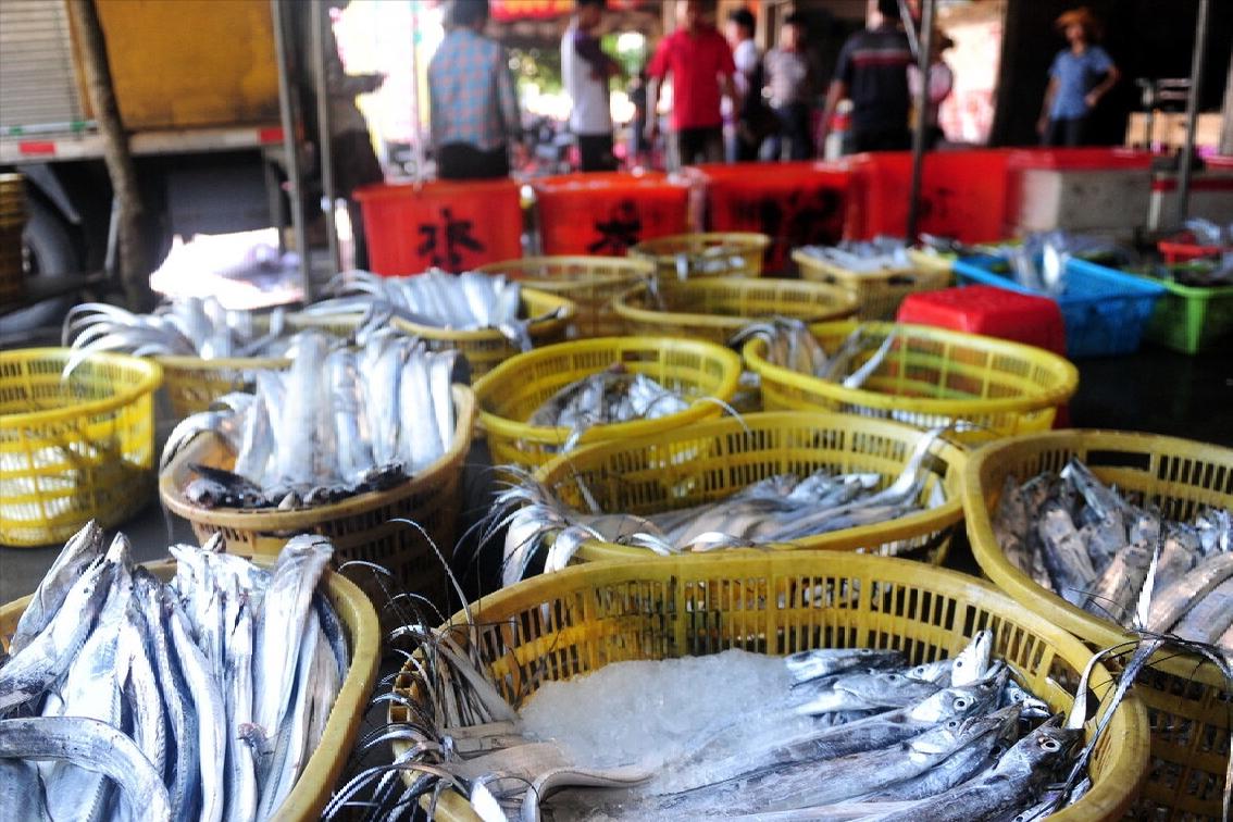 带鱼哪个地方最好吃,带鱼是哪个地方的带鱼最好吃