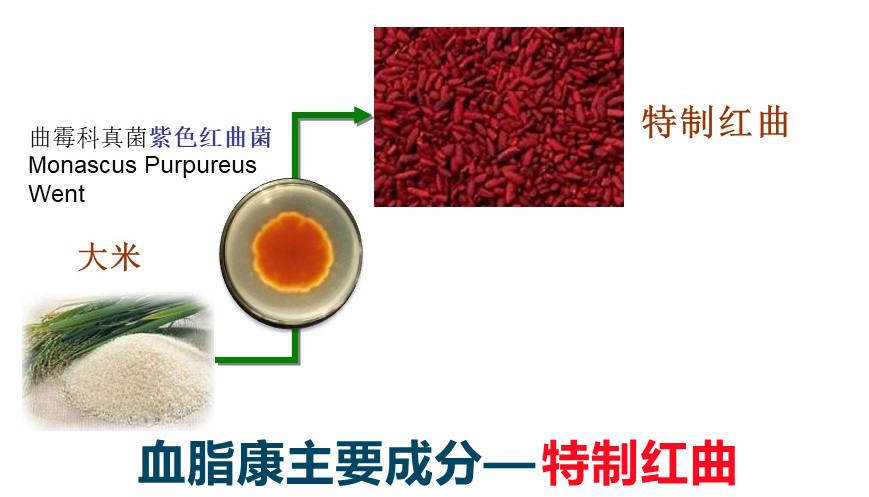 红曲中提取的“血脂康”降胆固醇,吃点儿天然红曲行不行?