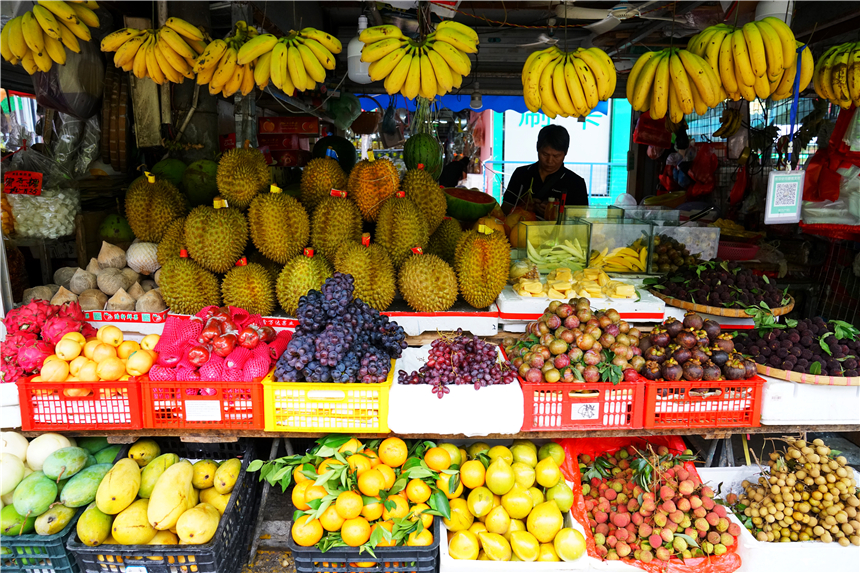 广西性价比好的海边城市,广西海边宜居的有哪些城市