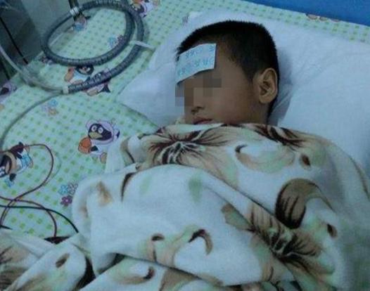 孩子吃鱼的好处,孩子吃鱼真的聪明吗