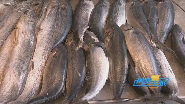 三亚海鲜市场皮皮虾多少钱一斤,海鲜市场上的皮皮虾