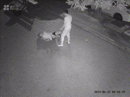 经常面对垃圾人怎么办,面对垃圾人该怎么解决问题