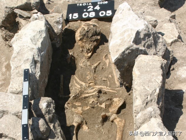 史上10种有毒的物质,10大致癌物有哪些