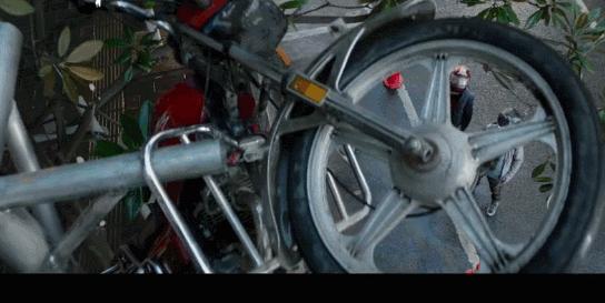 主演阵容简直炸裂,主演阵容超良心