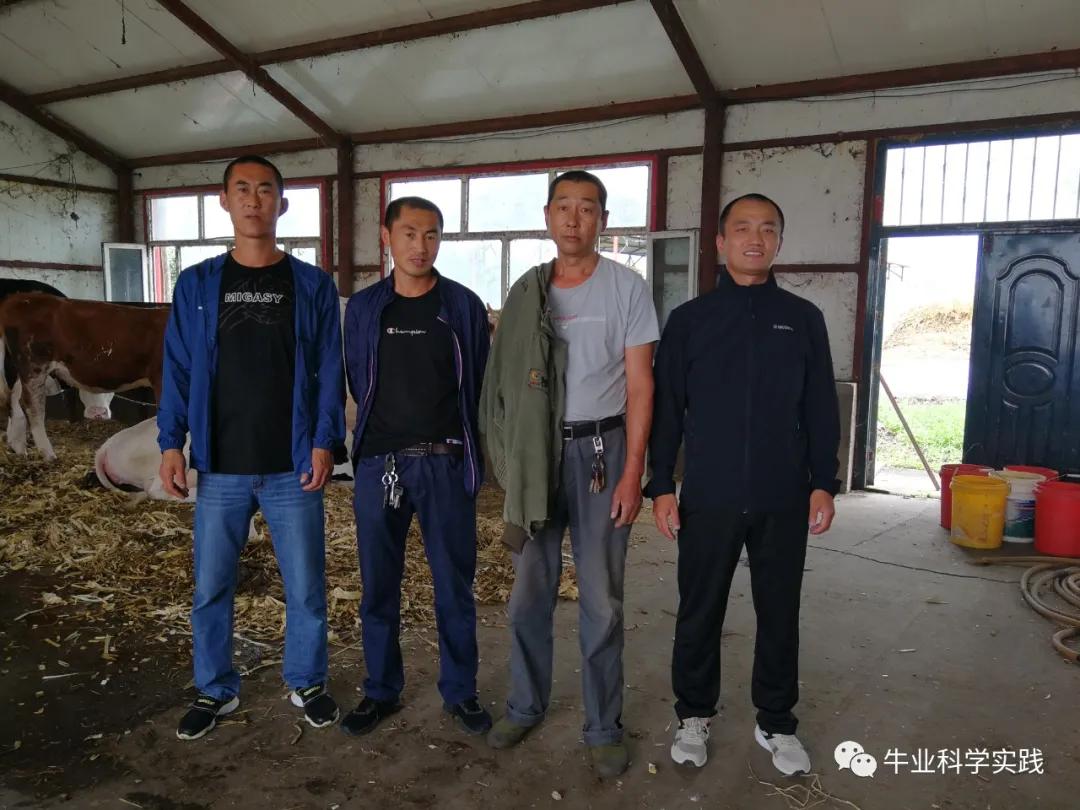 2023肉牛行情分析,2023-2024中国肉牛行情还会下跌吗