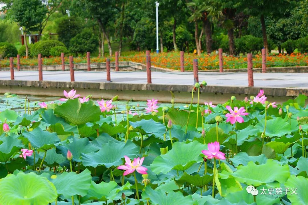 江苏省宿迁市沭阳县天气预报,苏北第一县沭阳与山东第一县