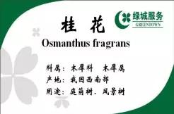 物业亲情服务活动方案,物业服务亮点100条