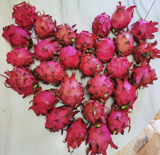 火龙果怎么就是坏了,火龙果怎样算是坏了