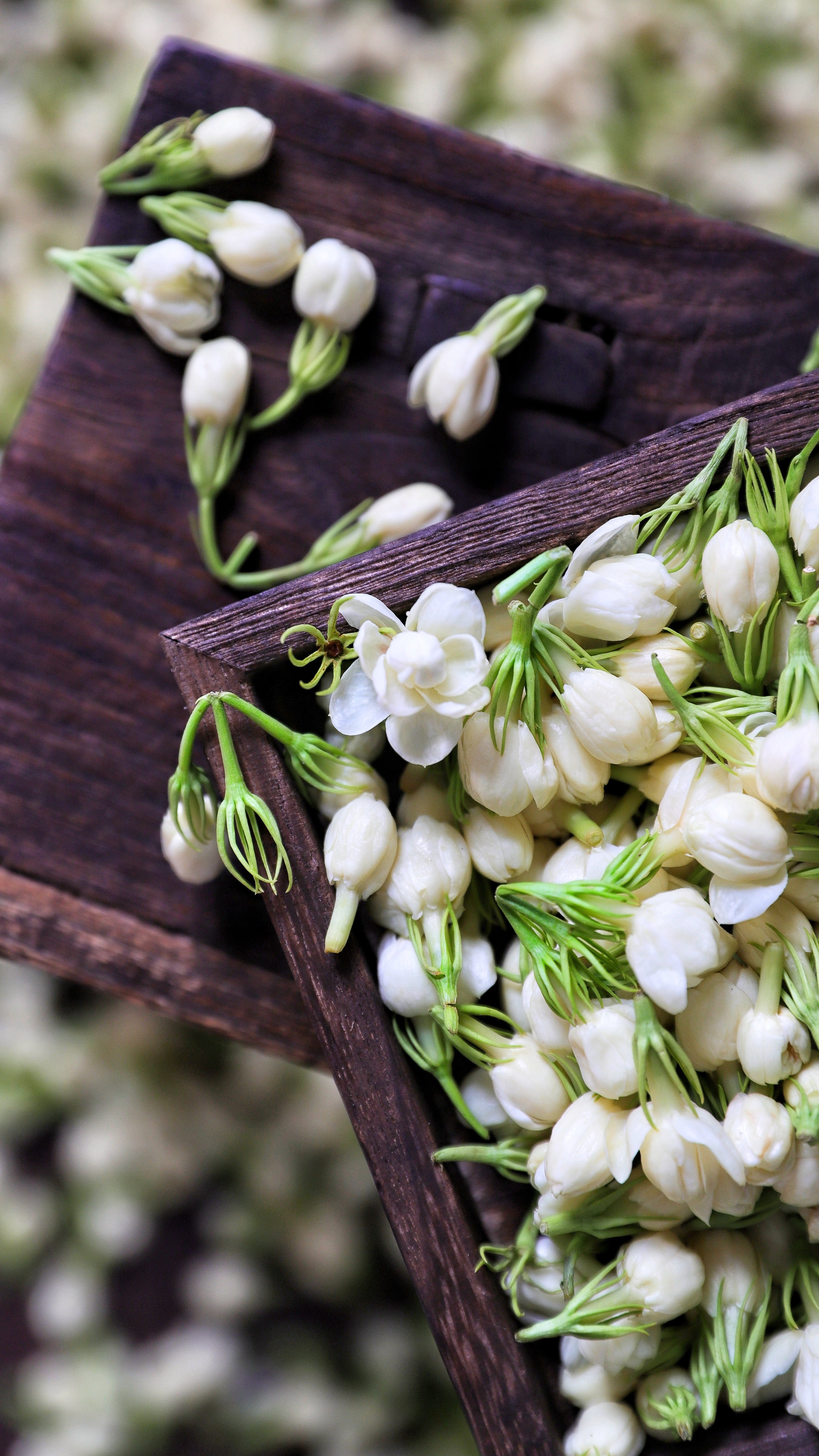 茶文化屏保高清手机壁纸,茶意境超高清手机壁纸