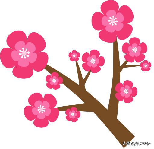 南阳赏花最佳地点,南阳春天赏花的地方有哪些推荐