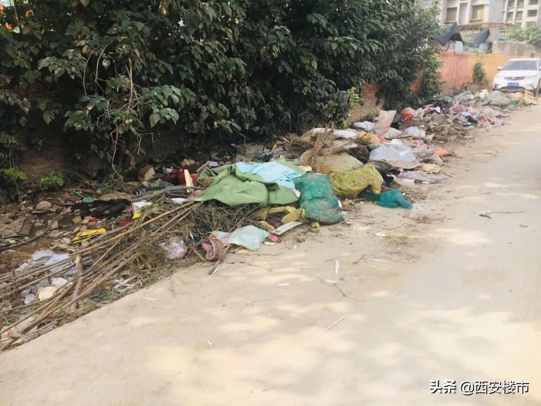 朗诗未来街区开盘价,朗诗未来树二手房房价