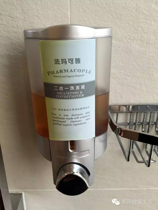 苏州带宠物去的古镇,苏州小众宠物乐园推荐