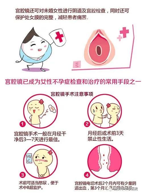 【献礼母亲节】母亲节，别忘了孕育宝宝的宫殿——聊聊宫腔镜的应用