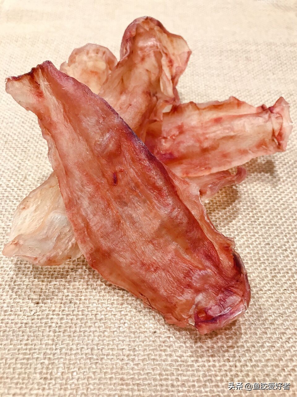 五年的花胶,5年以上的黄花胶