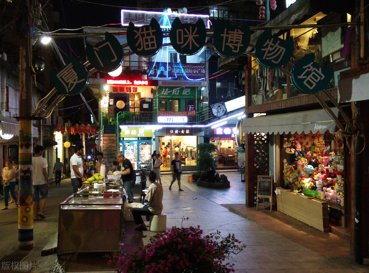 厦门顶级猫街介绍,厦门猫街值得去吗