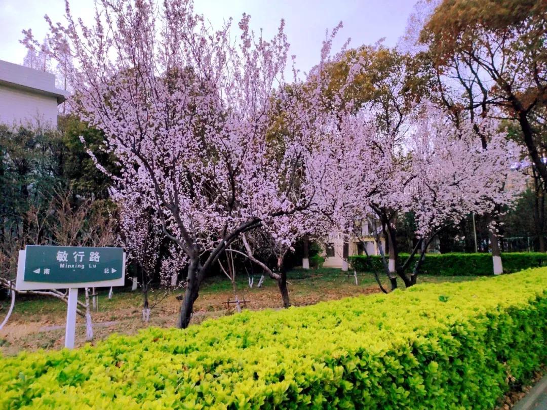 江苏省33所高校排名,江苏省300分大专院校