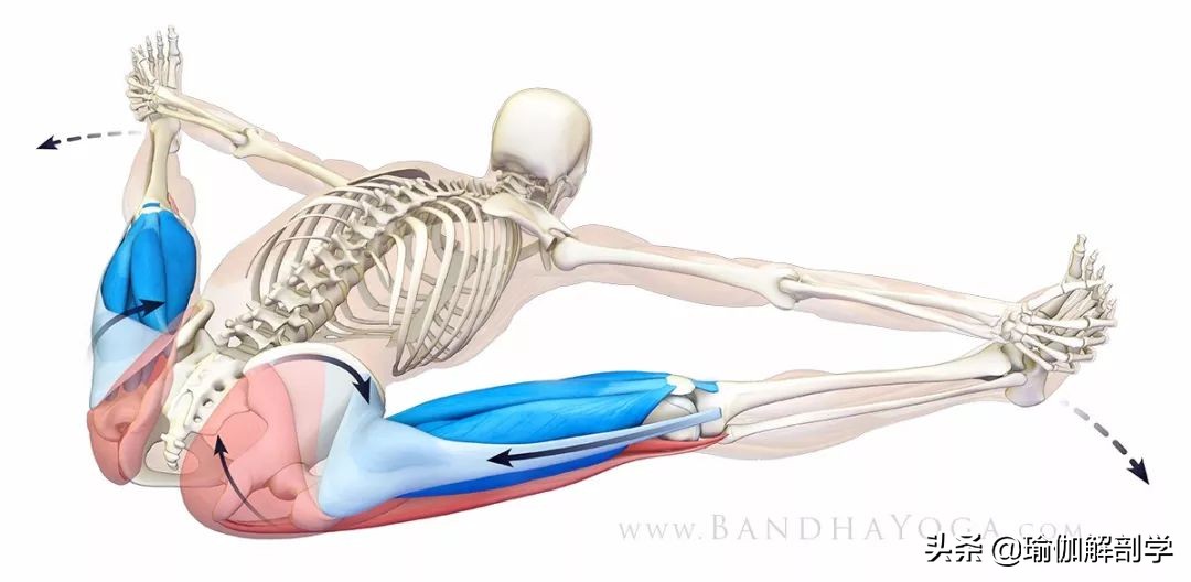 练瑜伽不会盘腿怎么办,练瑜伽髋不正位怎么办