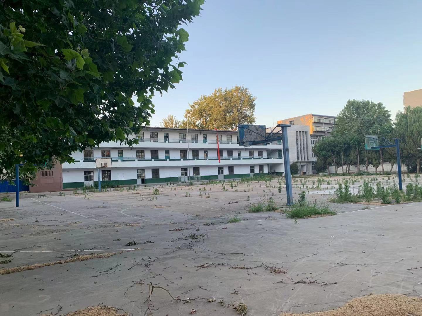 张钢回家,张钢的生活