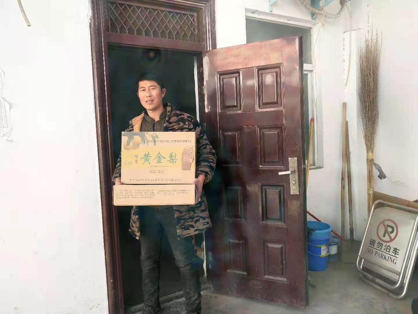 南阳有机黄金梨,河南南阳黄金梨十年甜如蜜