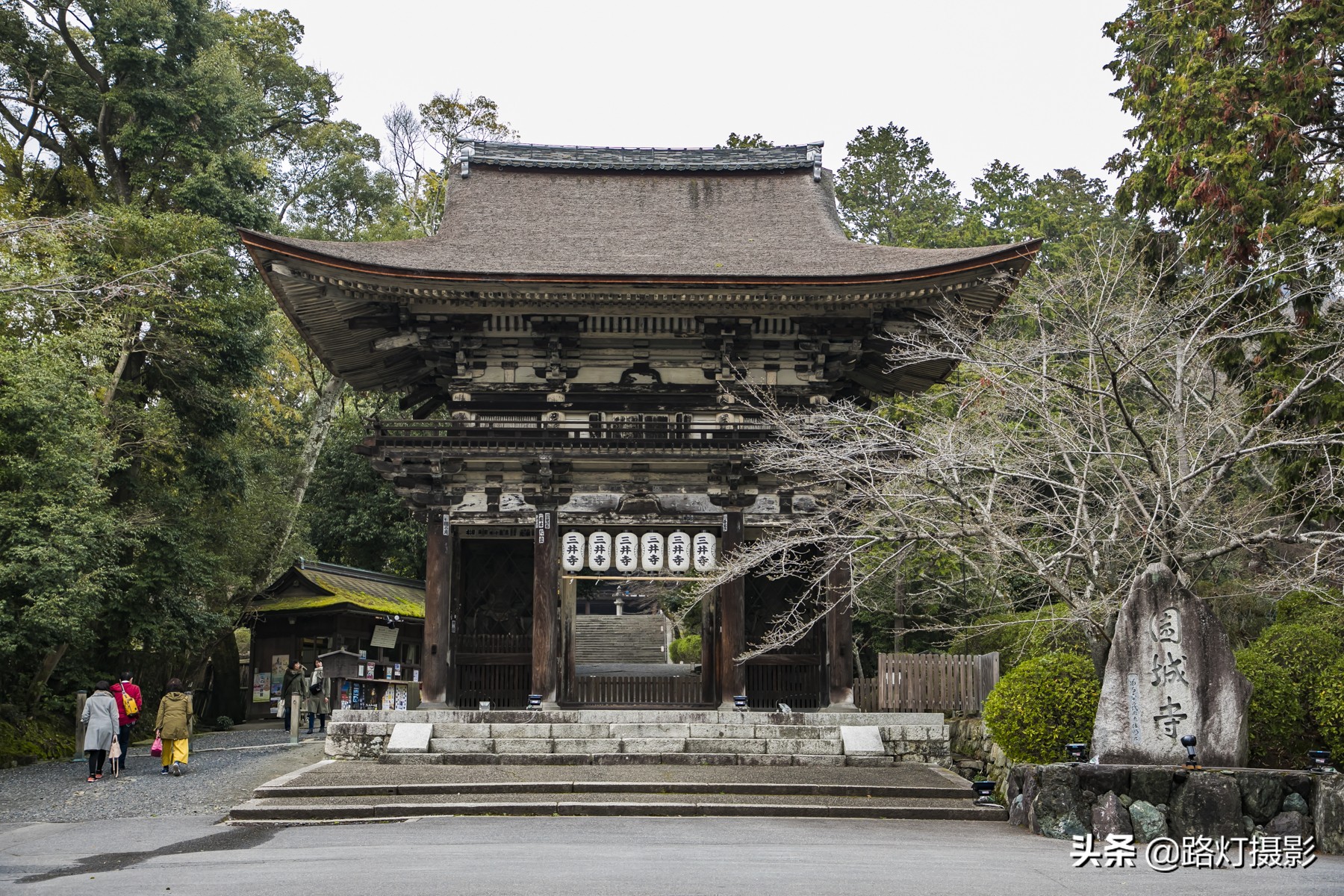 2020日本赏樱花路线,赏樱季去日本看全球最美樱花