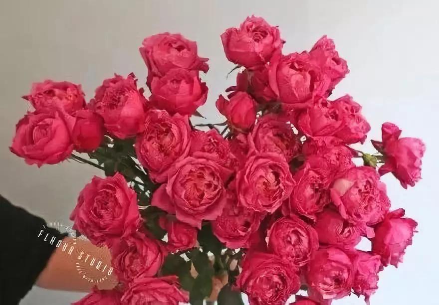 花店热销花,热卖鲜花花束