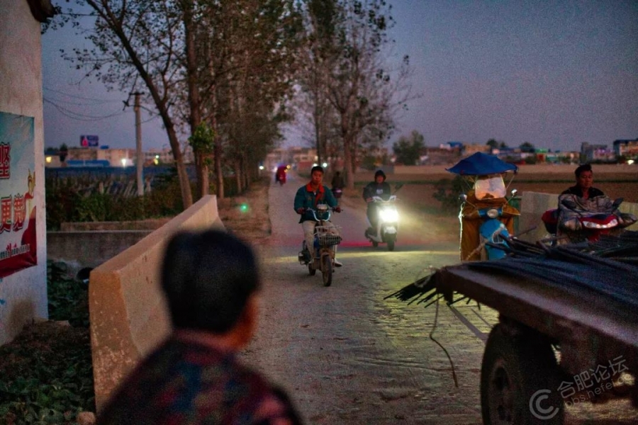 无名女尸23年前案件,偏僻山村惊现女尸20年后旧案重启