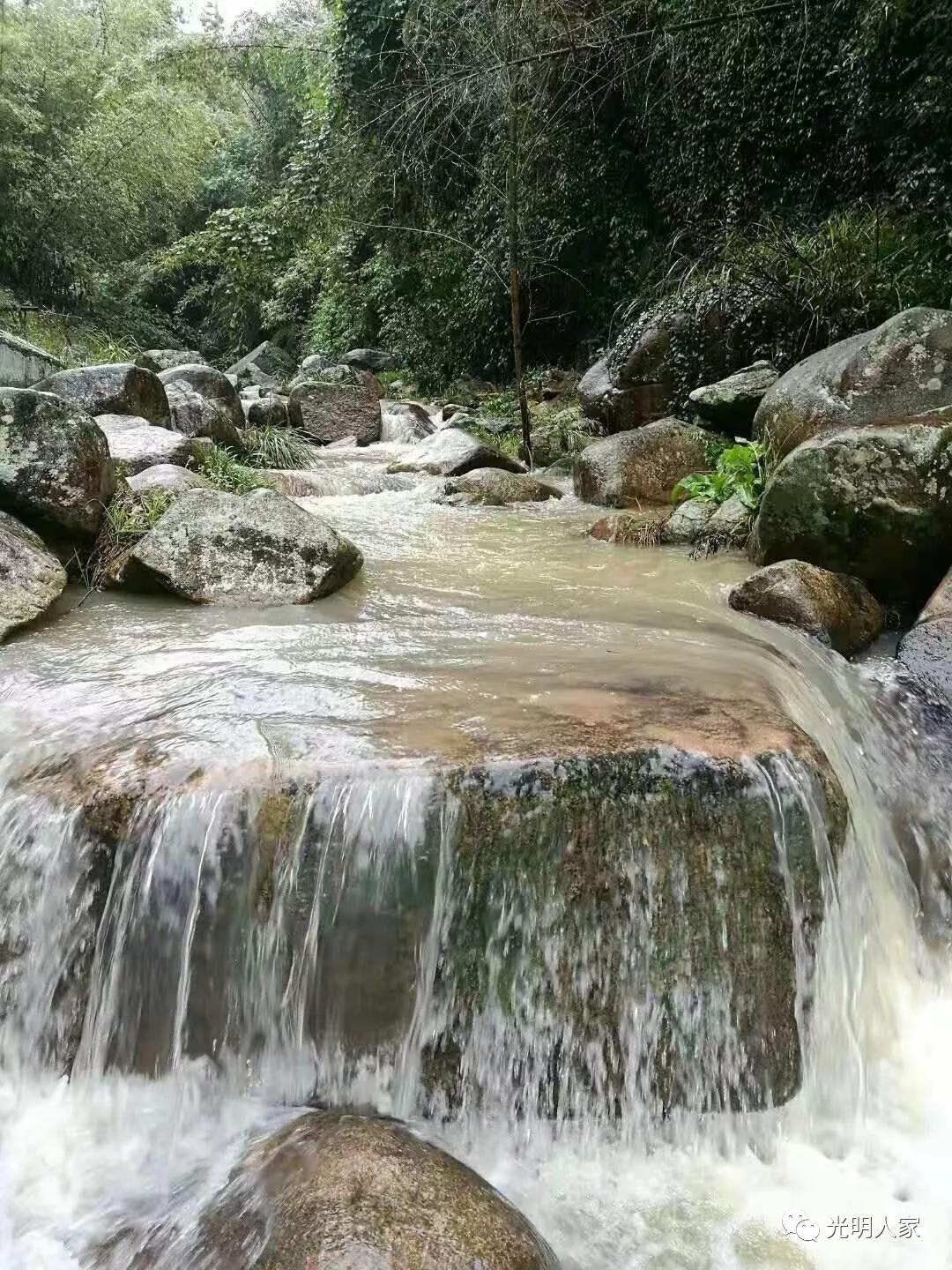 平阳鳌江镇古村落,鳌江市古村视频