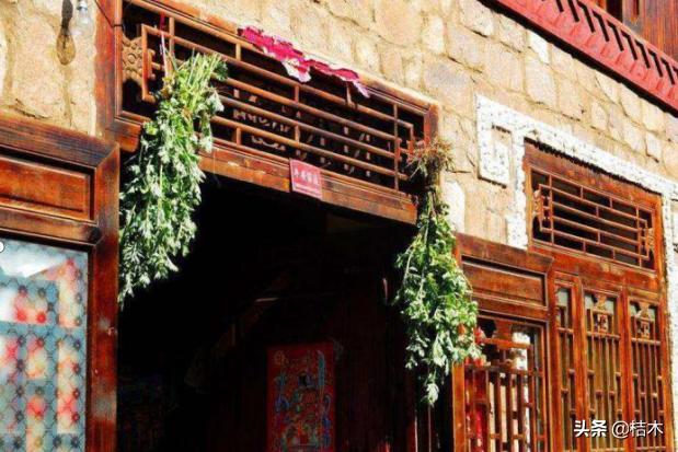 它是百草之王，种一次收3年，利润比较高，农民却不愿种植