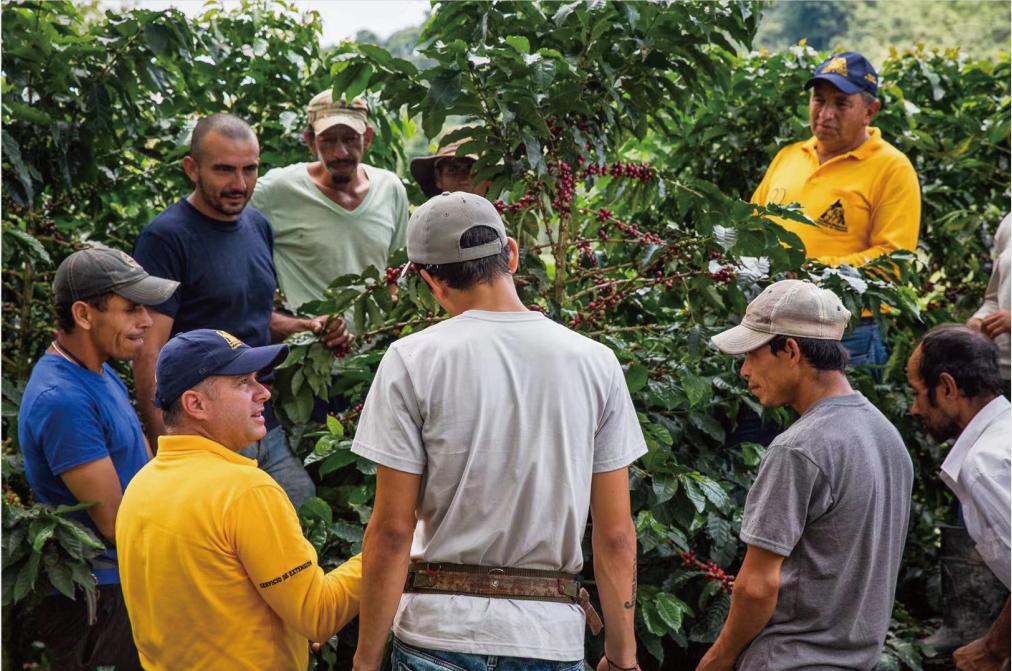 胡安咖啡,胡安大叔