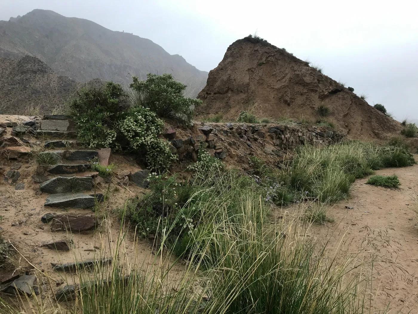 鬼吹灯九层妖塔是谁的墓,鬼吹灯里有两座九层妖塔