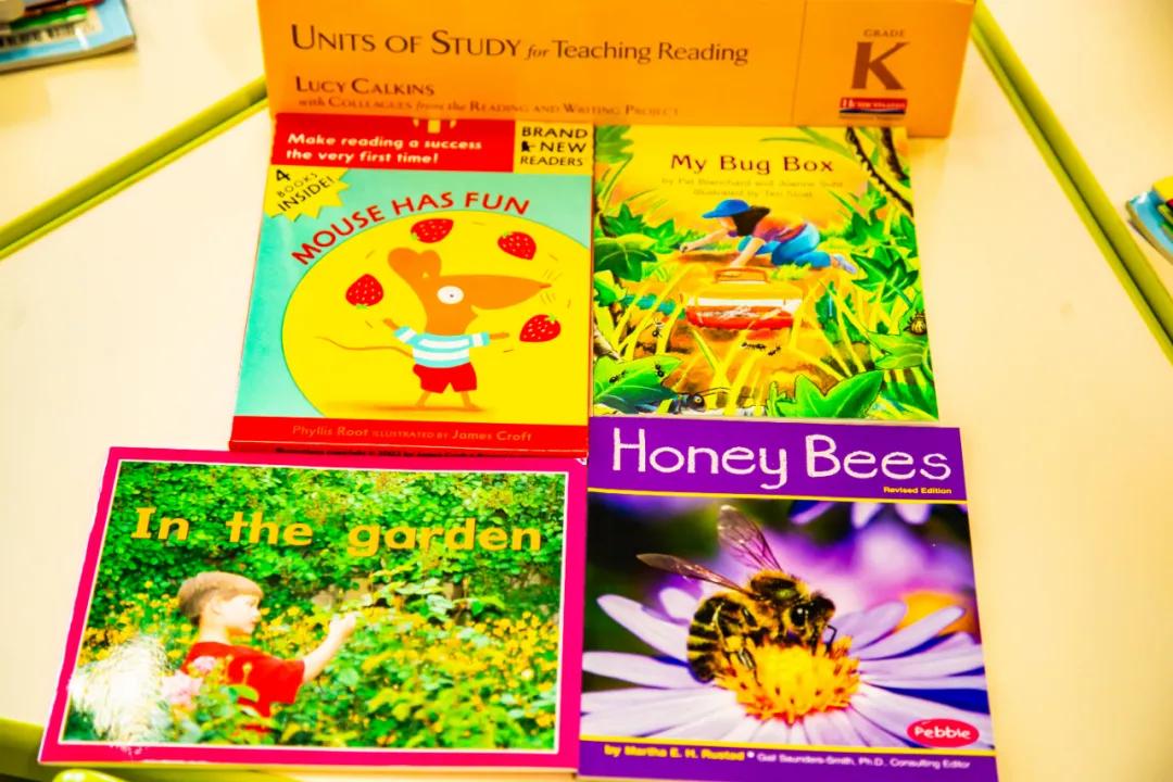 郑州哪所国际学校最好,郑州的知名国际学校