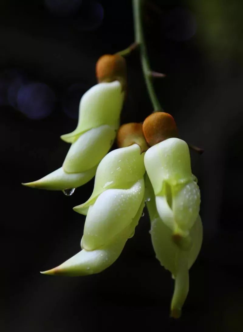 学生期末精彩评语,三